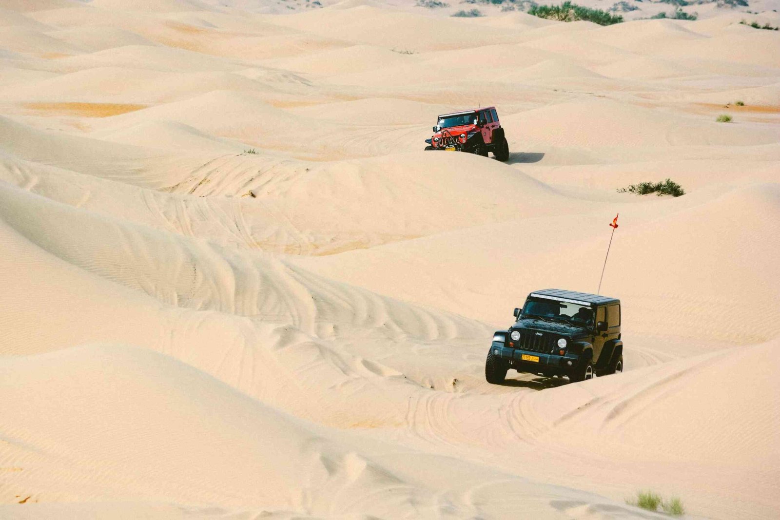 Dubai Desert Safari